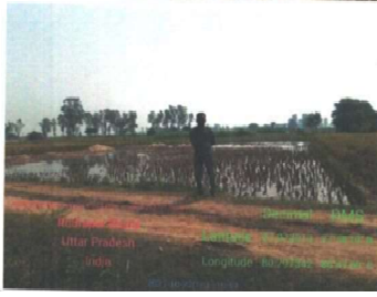 new hindustan enterprises1